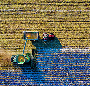 Chapter 12 Bankruptcy in Missouri: Relief for Family Farmers & Fishermen